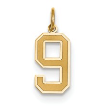 14k Gold Medium Satin Number 9 Charm hide-image