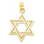 Solid Satin Star of David Charm in 14k Gold