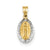 14k Gold w/Rhodium Miraculous Medal Charm hide-image