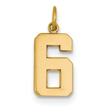 14ky Casted Medium Polished Number 6 Charm hide-image