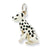 Sterling Silver Enameled Dalmatian Charm hide-image