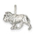 Sterling Silver Lion Charm hide-image
