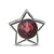 Crystal From Swarovski June Birthstone Star Bea in Sterling Silver