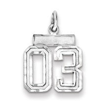 Sterling Silver Small Diamond-cut #03 Charm hide-image