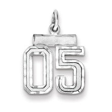 Sterling Silver Small Diamond-cut #05 Charm hide-image