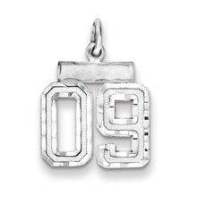 Sterling Silver Small Diamond-cut #09 Charm hide-image