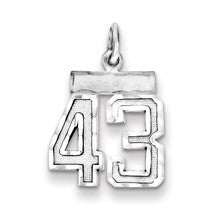 Sterling Silver Small #43 Charm hide-image