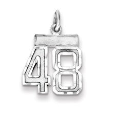 Sterling Silver Small #48 Charm hide-image