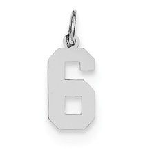 Sterling Silver Small Polished Number 6 Charm hide-image