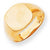 14k Yellow Gold Men's Signet Ring