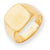 14k Yellow Gold Men's Signet Ring