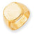 14k Yellow Gold Men's Signet Ring