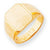 14k Yellow Gold Men's Signet Ring