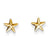 14k Yellow Gold Star Post Earrings