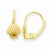 14k Yellow Gold Shell Leverback Earrings