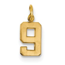 14ky Casted Small Polished Number 9 Charm hide-image