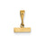 Casted Small Polished Top Charm in 14k Yellow Gold