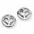 Stainle Steel CZ Earrings