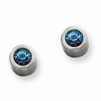 Stainle Steel Blue CZ Post Earrings