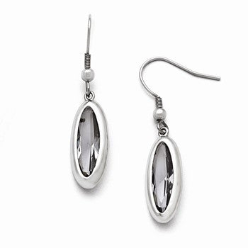 Stainle Steel Polished Glass Oval Shepherd Hook Dangle Earrings