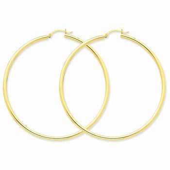 10k Yellow Gold Polished 2.5mm Round Hoop Earrings