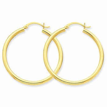 10k Yellow Gold Polished 2.5mm Round Hoop Earrings