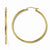 10k Yellow Gold Polished Hinged Hoop Earrings