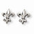 Titanium Fleur de lis Earrings