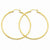 14k Yellow Gold Satin Diamond-cut 2mm Round Tube Hoop Earrings