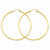 14k Yellow Gold Satin Diamond-cut 2mm Round Tube Hoop Earrings