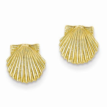 14k Yellow Gold Scallop Shell Post Earrings