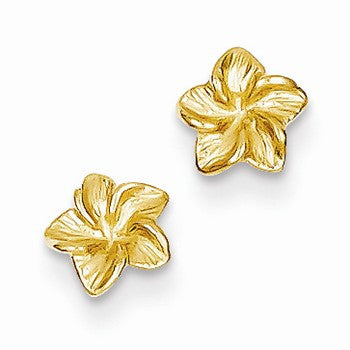 14k Yellow Gold Plumeria Flower Post Earrings