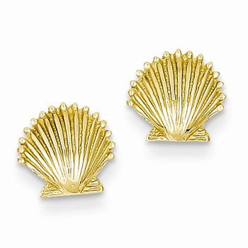 14k Yellow Gold Scallop Shell Post Earrings