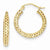 14k Yellow Gold Mesh Hoop Earrings