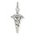 14k White Gold 3-D Caduceus Charm hide-image