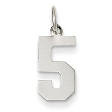 14k White Gold Small Polished Number 5 Charm hide-image