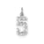 Casted Small Diamond Cut Number 5 Charm in 14k White Gold