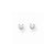 14k White Gold 2.25mm CZ stud Earrings