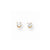 14k Yellow Gold 2.75mm CZ stud Earrings