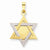 14k Gold Two-tone Star of David pendant, Pendants for Necklace