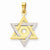 14k Gold Two-tone Star of David Pendant, Stylish Pendants for Necklace