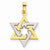 14k Gold Two-tone Star of David Pendant, Classy Pendants for Necklace