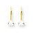 14k Yellow Gold 5mm Trillion Cubic Zirconia Leverback Earrings
