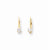 14k Yellow Gold Cubic ZirconiA Quality Diamond Leverback Earrings