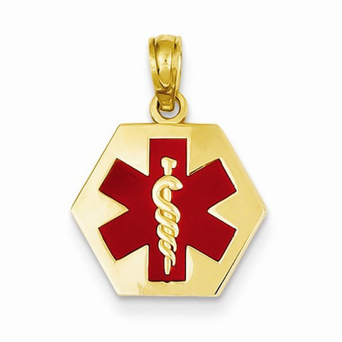 14k Gold Enameled Medical Disk pendant, Adorable Pendants for Necklace