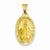 14k Gold Polished and Satin Miraculous Medal pendant, Delightful Pendants for Necklace