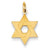 14k Gold Laser Designed Star of David Charm hide-image