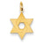 14k Gold Laser Designed Star of David Charm hide-image