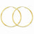 14k Yellow Gold 2mm Satin Diamond-cut Endless Hoop Earrings