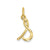 Initial Charm in 14k Yellow Gold